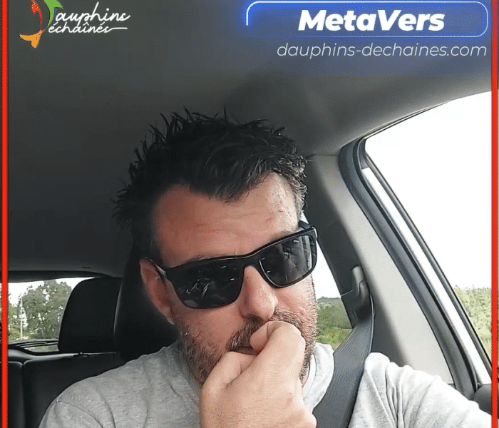 Le MetaVerse. Va-t-on tous mourir ? Ou juste un peu ?